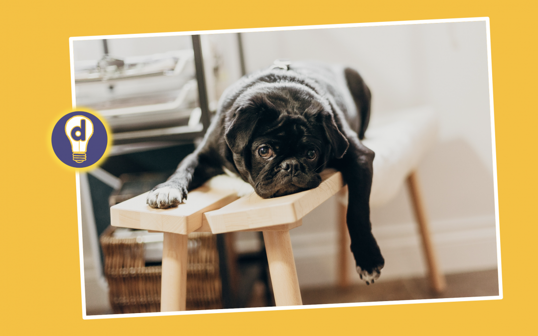 Ding Tackling Procrastination with Learning Design